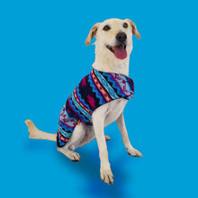 Cargar imagen en el visor de la galería, Poncho poncho para mascotas PONCHO PARA MASCOTAS MODELO AGUA KiruPets www.kirupets.com
