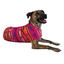 Cargar imagen en el visor de la galería, Poncho poncho de mascotas PONCHO DE MASCOTAS DE MODELO CLÁSICO FUCSIA KiruPets www.kirupets.com