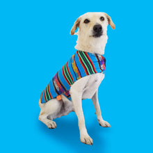 Cargar imagen en el visor de la galería, Ponchos para mascotas PONCHOS PARA MASCOTAS CLÁSICO TURQUESA ELABORADO EN OTAVALO EN ECUADOR KiruPets www.kirupets.com