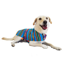 Cargar imagen en el visor de la galería, Ponchos para mascotas PONCHOS PARA MASCOTAS CLÁSICO TURQUESA ELABORADO EN OTAVALO EN ECUADOR KiruPets www.kirupets.com