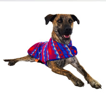 Cargar imagen en el visor de la galería, Poncho Poncho para mascota PONCHO PARA MASCOTA DE OTAVALO DE ECUADOR. MODELO HIELO KiruPets www.kirupets.com
