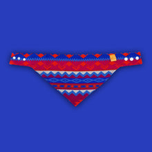 Cargar imagen en el visor de la galería, Pañuelo para personas y mascotas PAÑUELO PARA PERSONAS Y MASCOTAS MODELO HIELO KiruPets