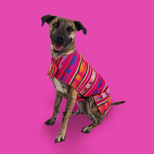 Poncho poncho de mascotas PONCHO DE MASCOTAS DE MODELO CLÁSICO FUCSIA KiruPets www.kirupets.com